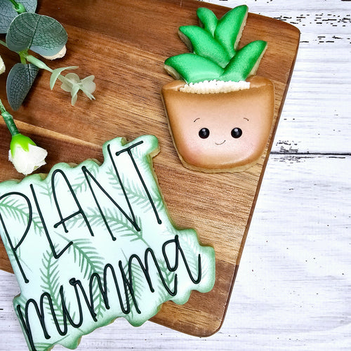 Plant Mumma Duo Set